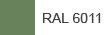 RAL 6011